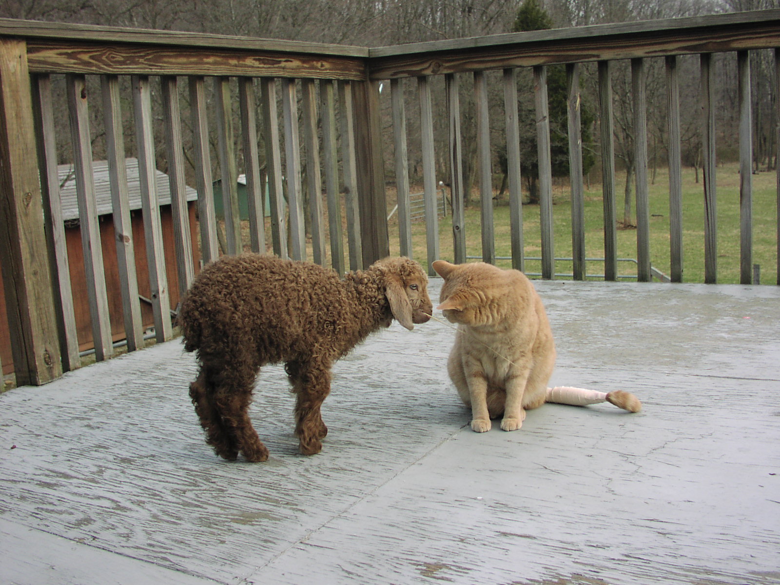 Sandy and Sienna