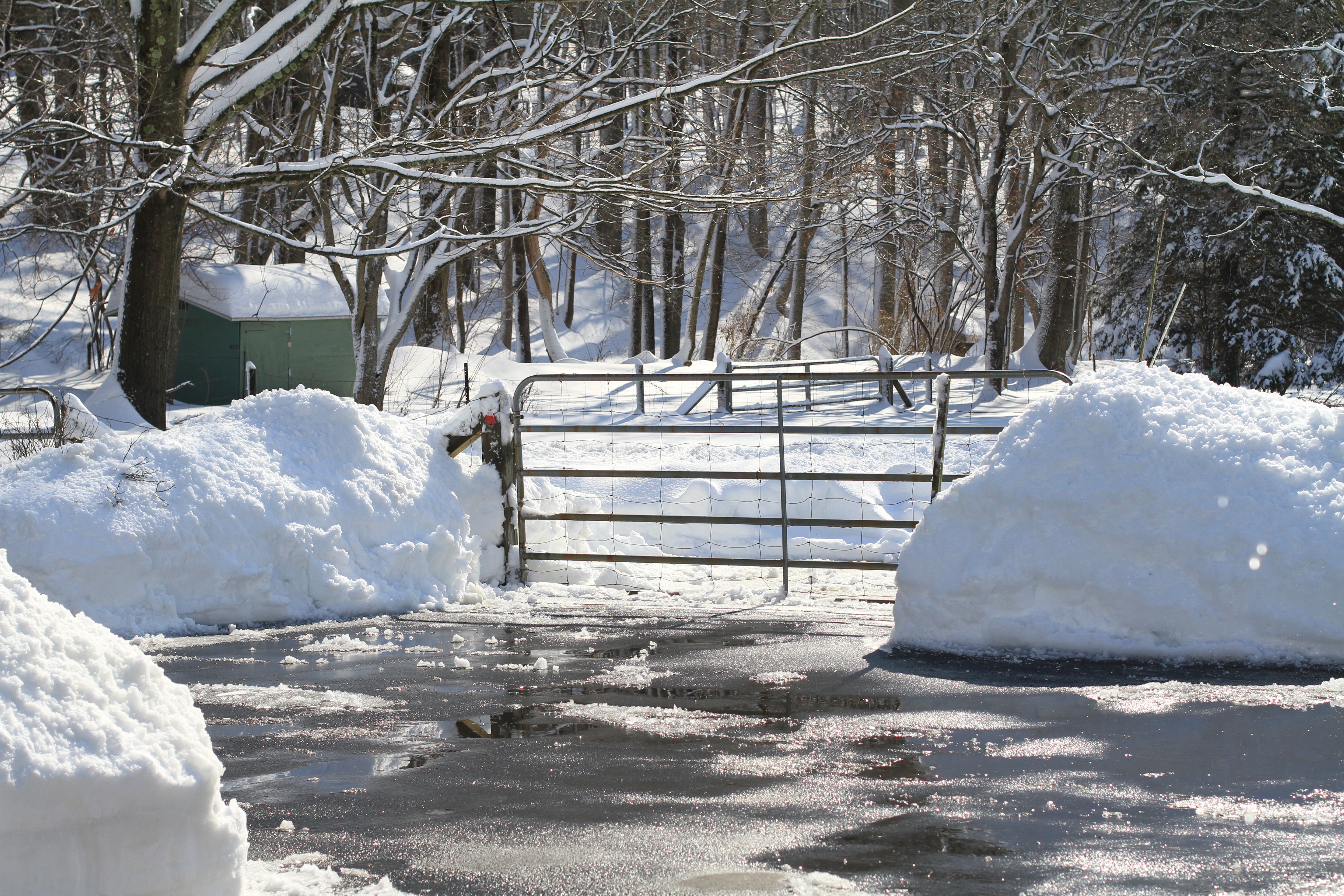 Snow Around Gate IMG_7097