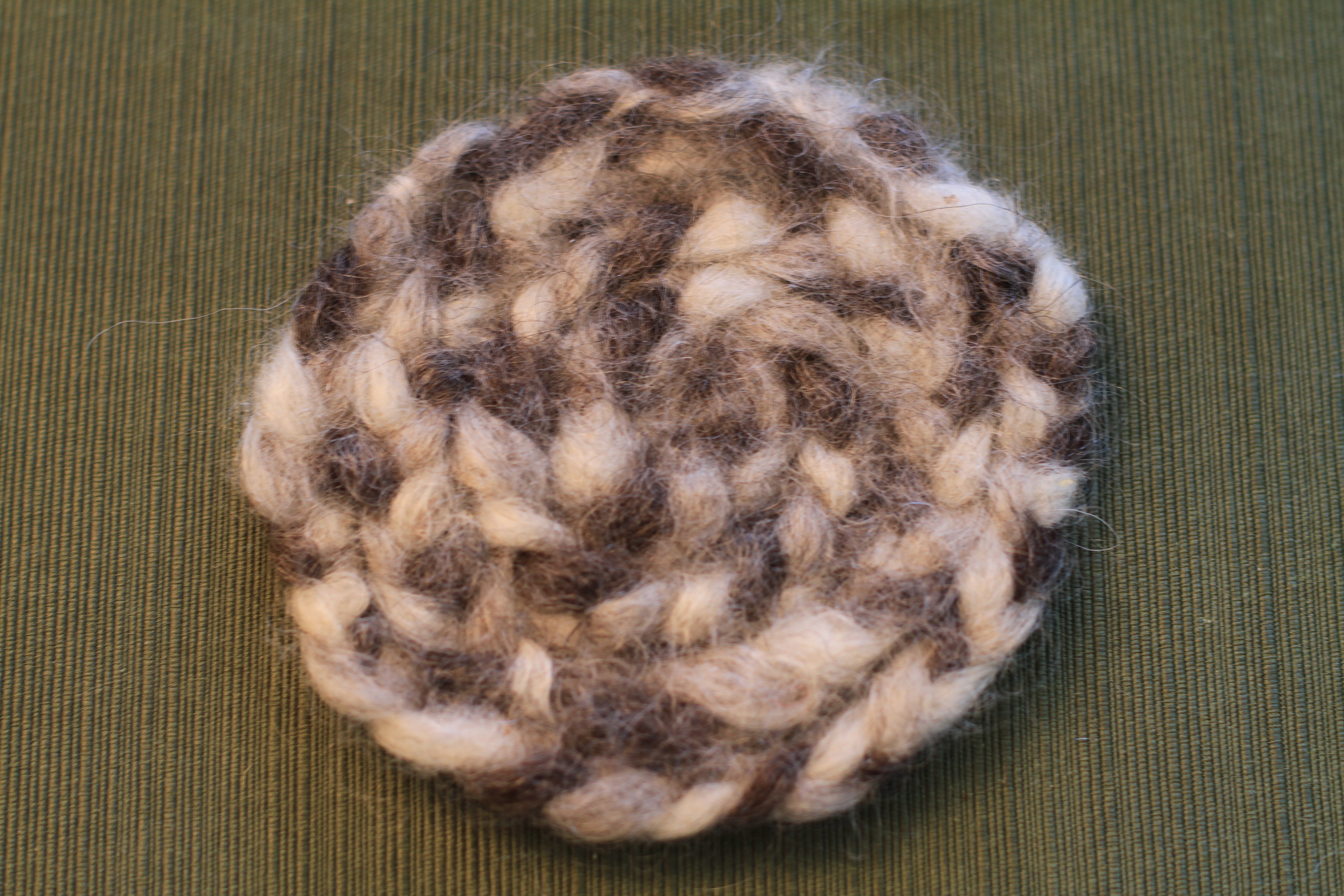 Coaster from DWF Roving