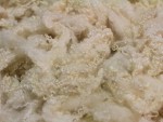 Bella BFL Fleece