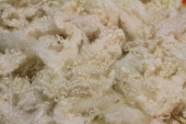 Bella BFL Fleece