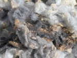 Pershia S15 Shetland Ewe Fleece