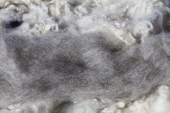 Roving Light Grey 100% Shetland