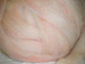 Roving Jupiter