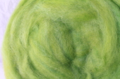 Roving Key Lime