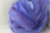 Roving Periwinkle
