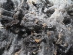 Wensleydale Romney Fleece