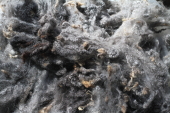 Wensleydale Romney Fleece 