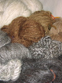 Yarns - Natural and Walnut Dyed