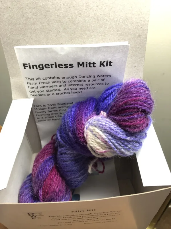 Mitten Kits - Image 2