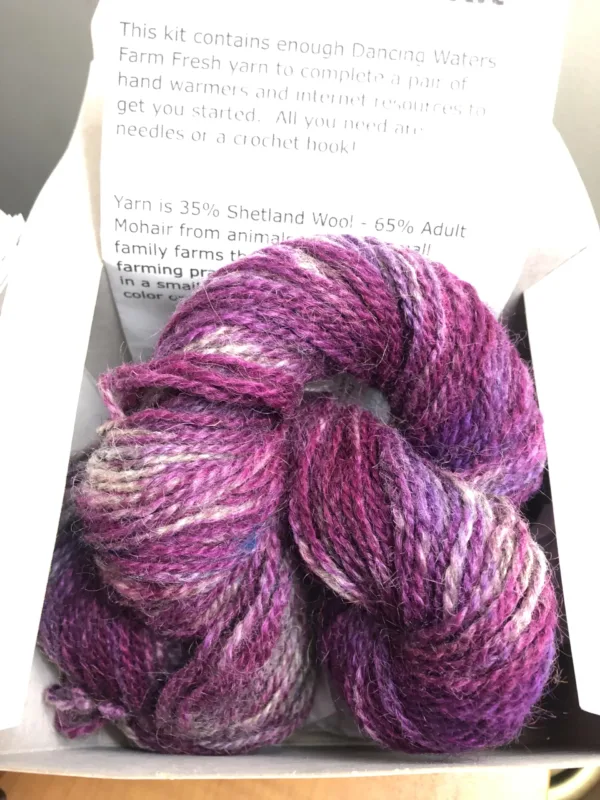 Mitten Kits - Image 4