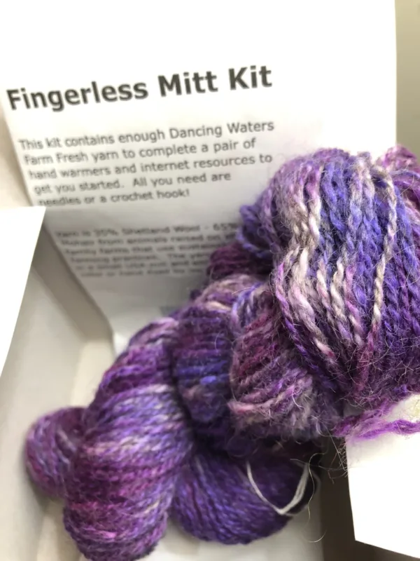 Mitten Kits - Image 3